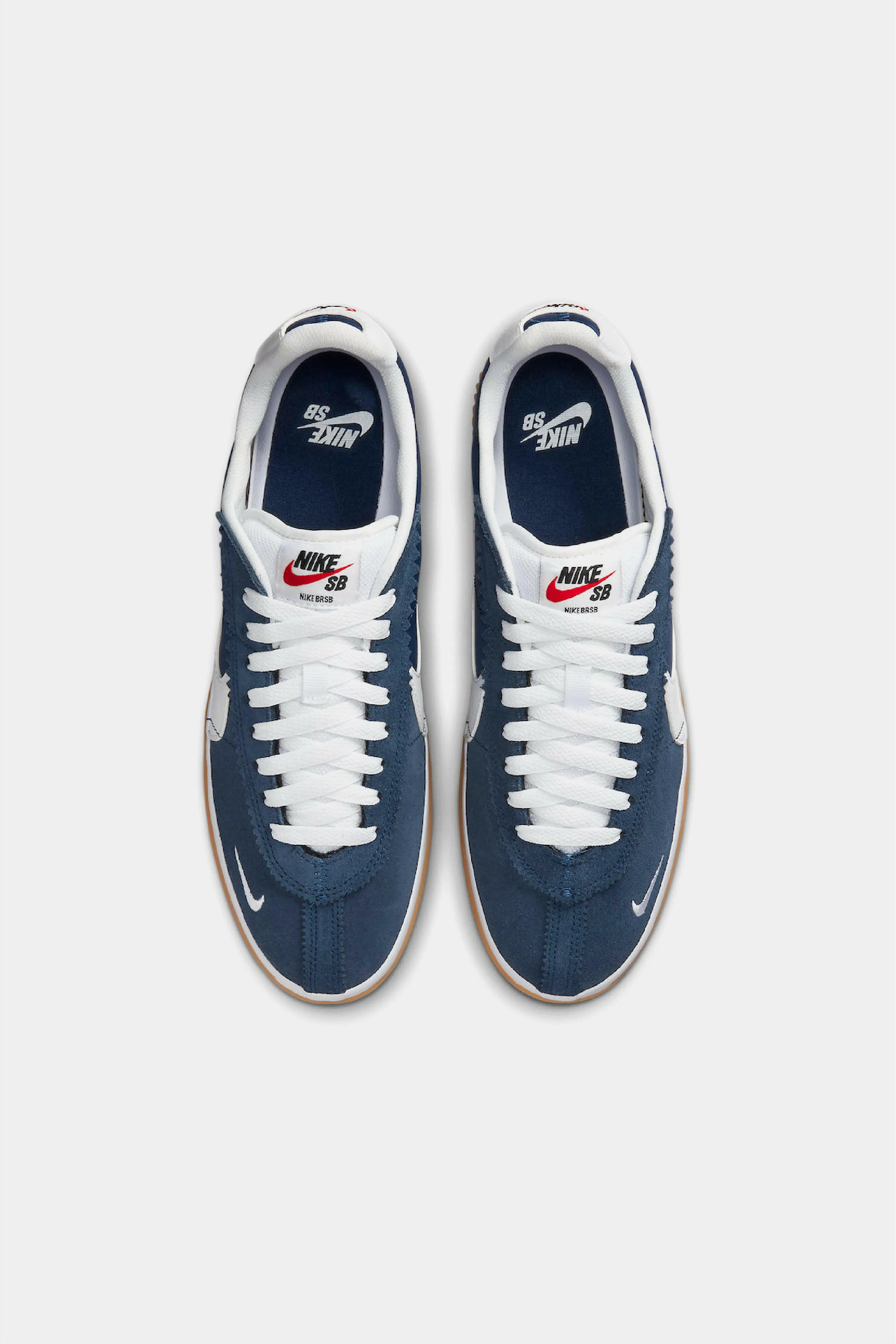 Nike SB Blue Ribbon