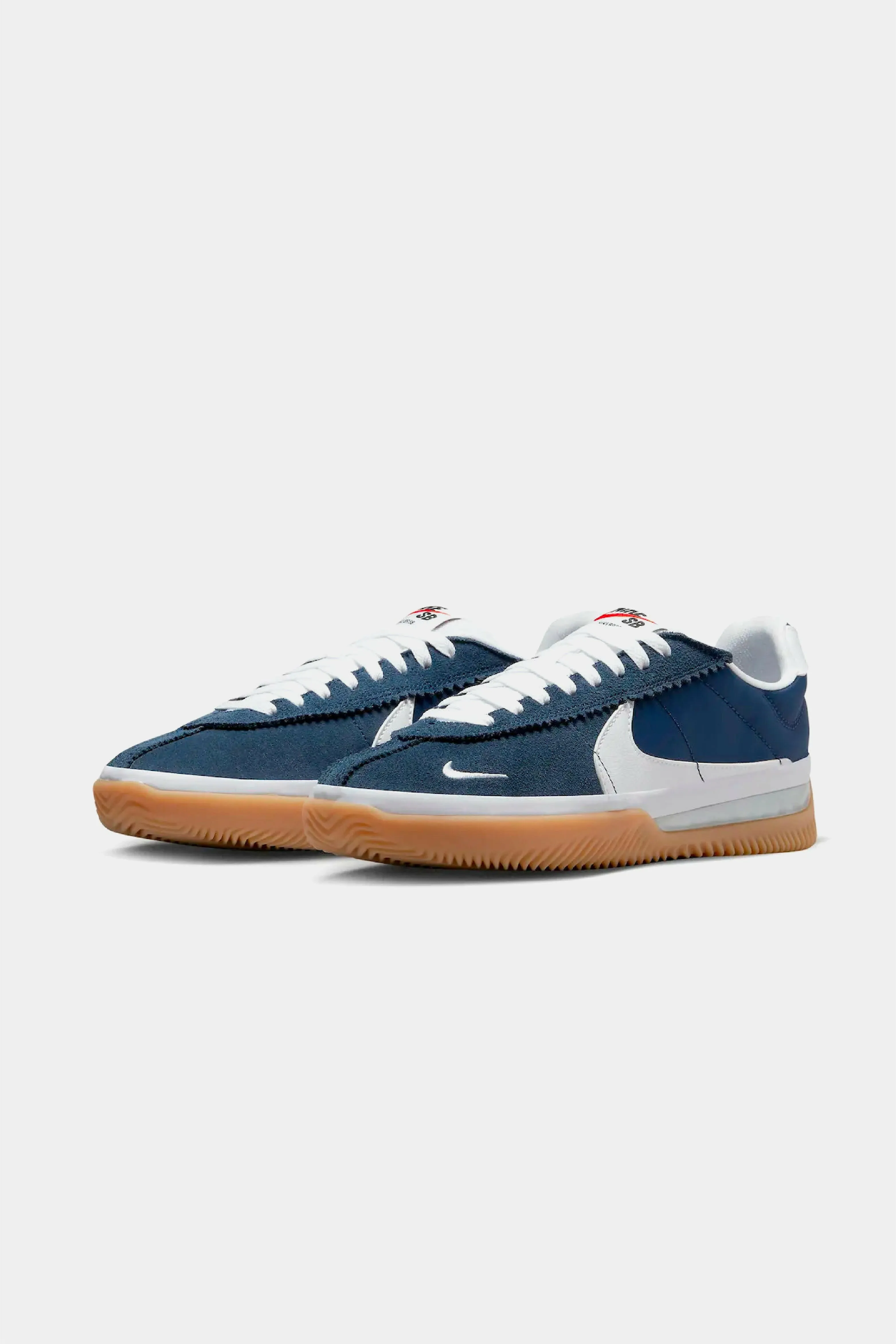 Nike SB Blue Ribbon