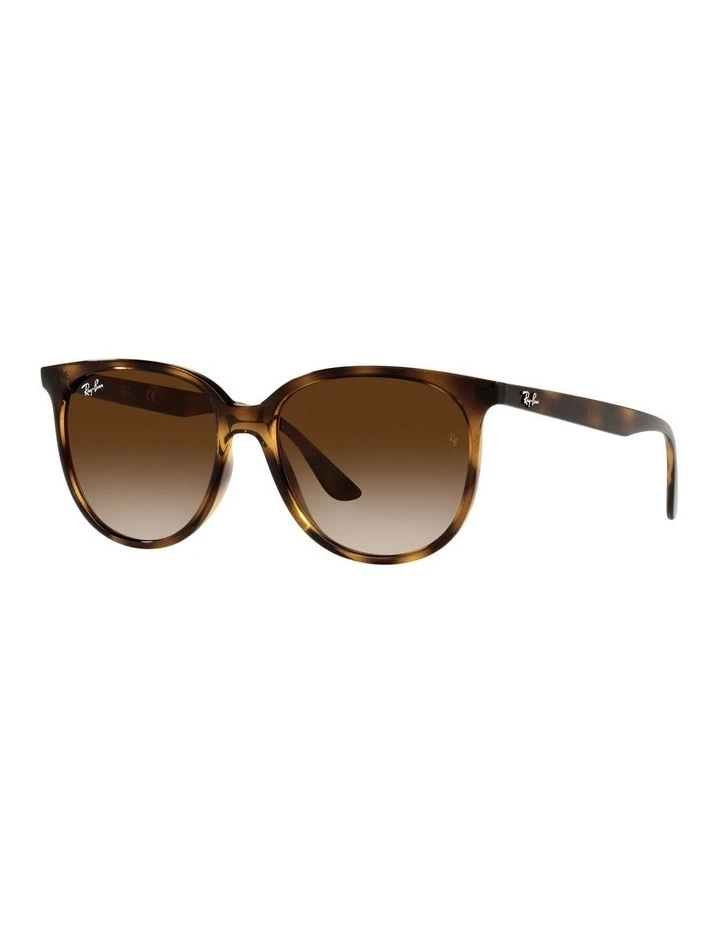 RB4378 Tortoiose Sunglasses