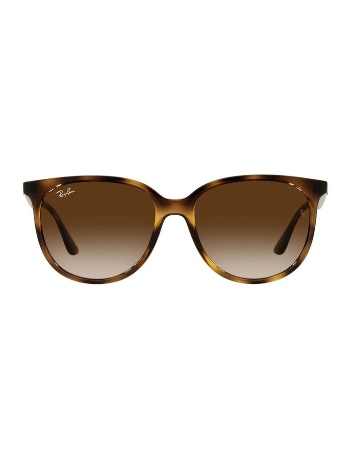 RB4378 Tortoiose Sunglasses