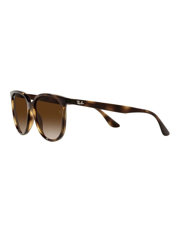 RB4378 Tortoiose Sunglasses