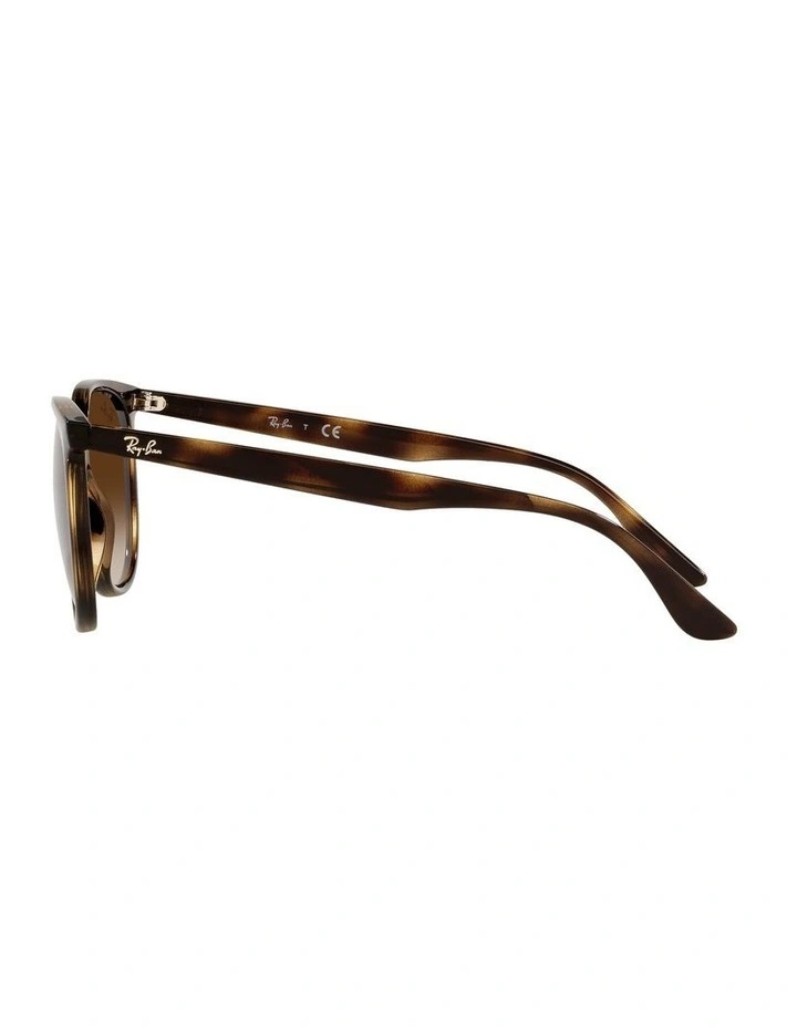 RB4378 Tortoiose Sunglasses