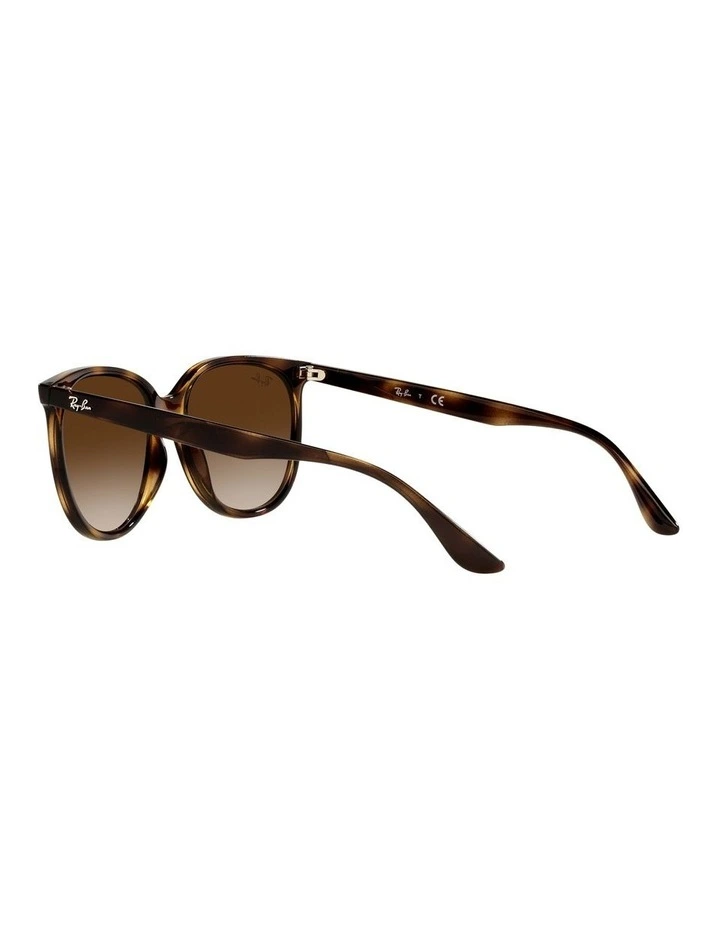 RB4378 Tortoiose Sunglasses