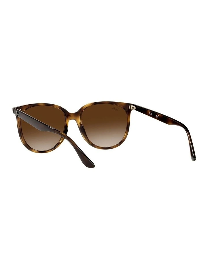 RB4378 Tortoiose Sunglasses