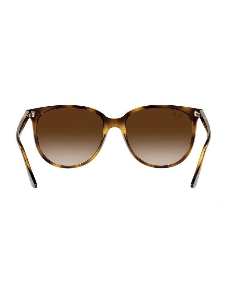 RB4378 Tortoiose Sunglasses